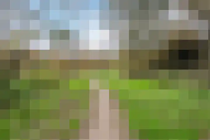 Van Goghstraat 1 Apeldoorn thumbnail 51