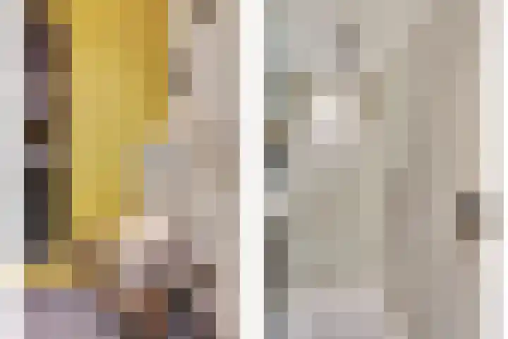 Van Goghstraat 1 Baarlo thumbnail 19