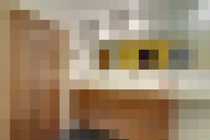 Van Goghstraat 1 Baarlo thumbnail 20