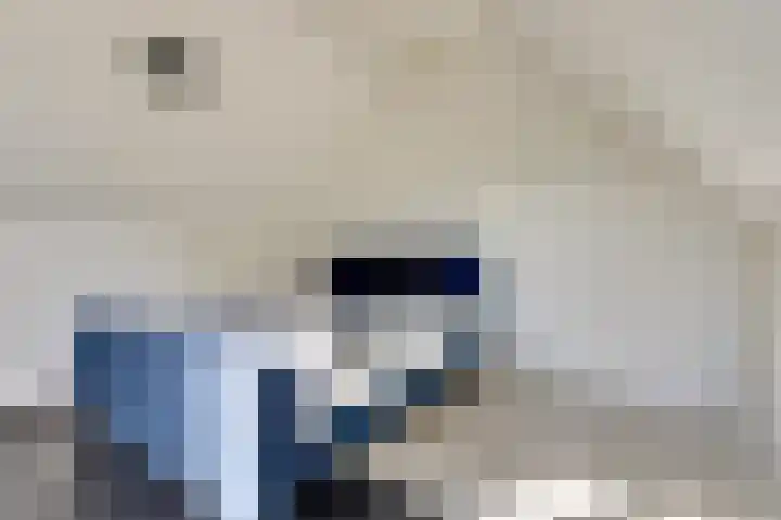 Van Goghstraat 1 Baarlo thumbnail 24