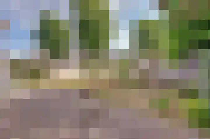 Van Goghstraat 1 Baarlo thumbnail 25