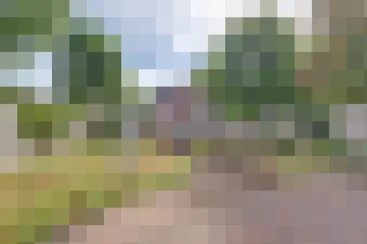 Van Goghstraat 1 Baarlo thumbnail 26