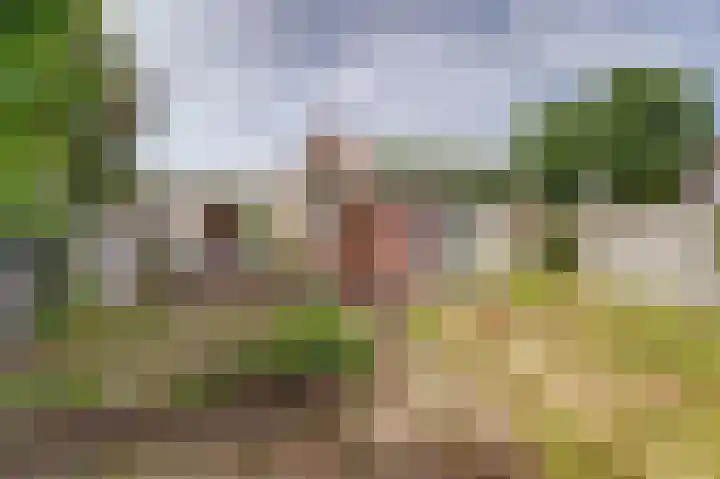 Van Goghstraat 1 Baarlo thumbnail 27
