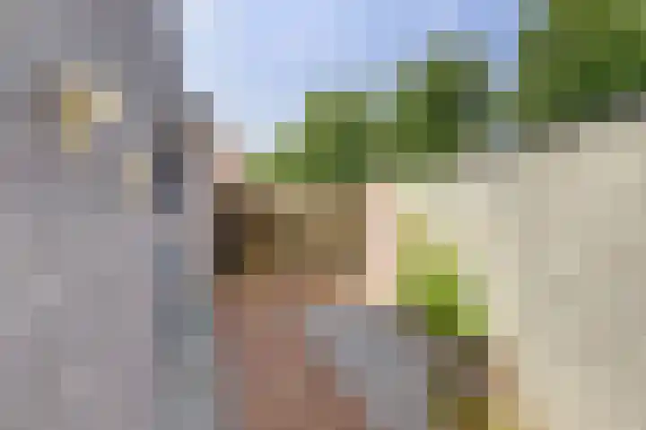 Van Goghstraat 1 Baarlo thumbnail 28