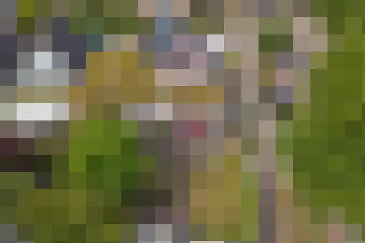 Van Goghstraat 1 Baarlo thumbnail 29
