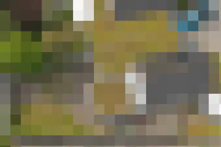 Van Goghstraat 1 Baarlo thumbnail 30