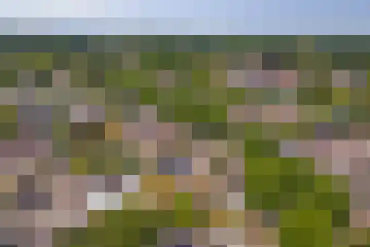 Van Goghstraat 1 Baarlo thumbnail 33