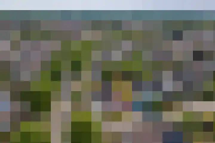 Van Goghstraat 1 Baarlo thumbnail 34