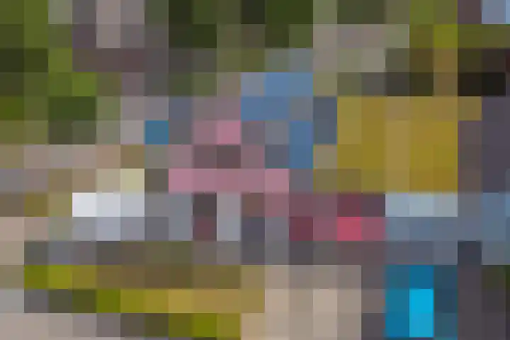 Van Goghstraat 1 Baarlo thumbnail 35