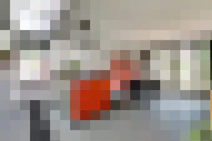 Van Goghstraat 1 Baarlo thumbnail 9