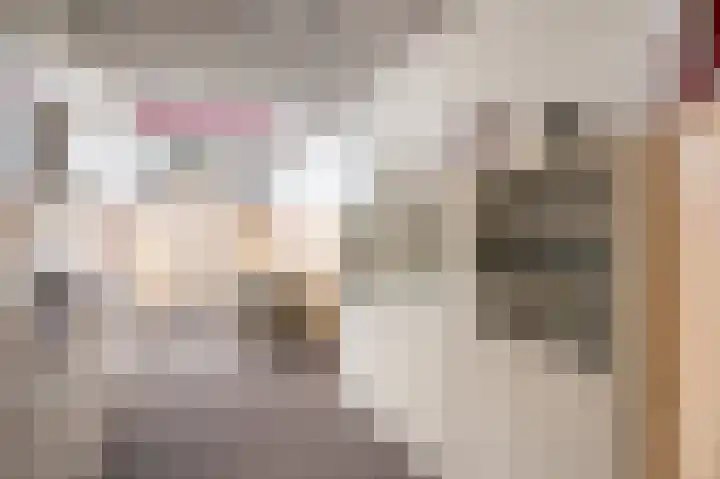 Van Goghstraat 10 Apeldoorn thumbnail 10
