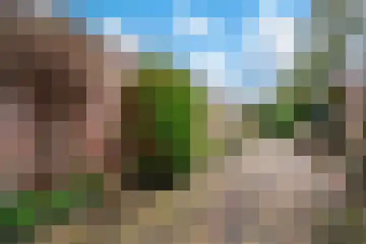 Van Goghstraat 10 Apeldoorn thumbnail 13