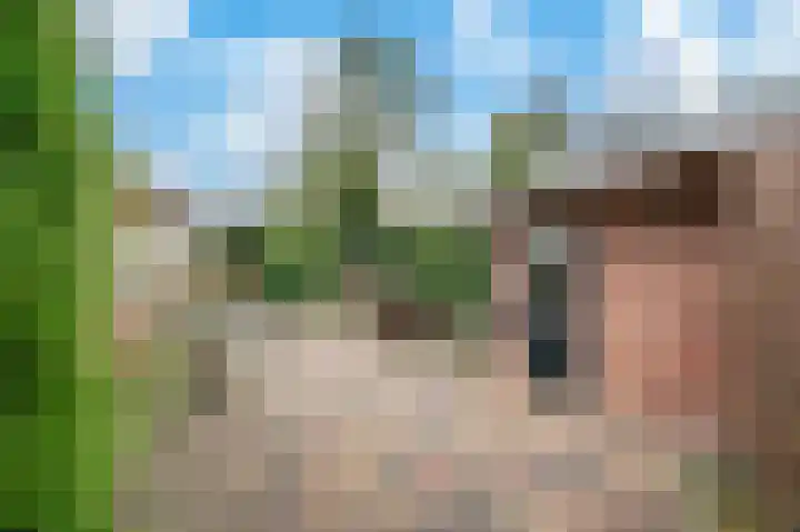 Van Goghstraat 10 Apeldoorn thumbnail 14
