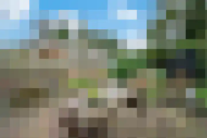 Van Goghstraat 10 Apeldoorn thumbnail 15