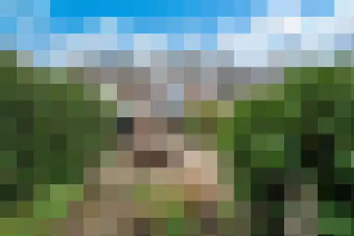 Van Goghstraat 10 Apeldoorn thumbnail 17