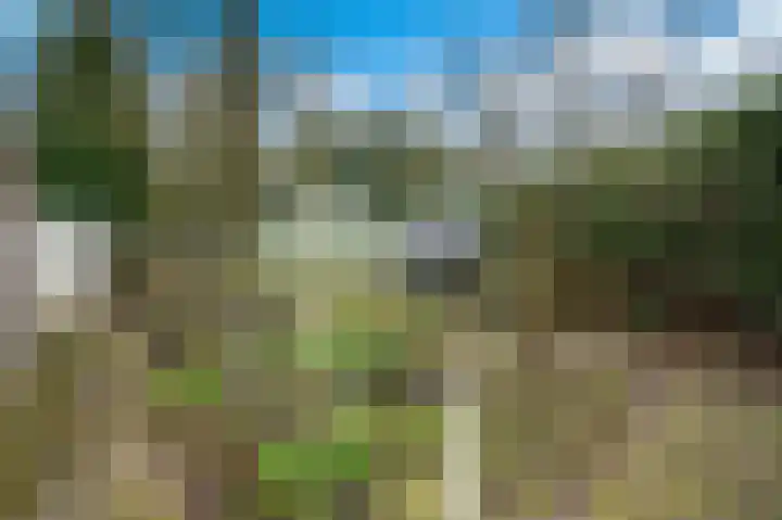 Van Goghstraat 10 Apeldoorn thumbnail 18