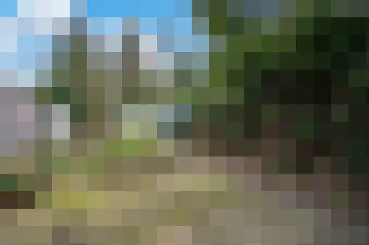 Van Goghstraat 10 Apeldoorn thumbnail 19