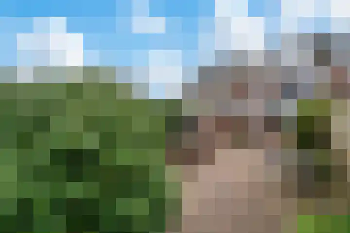 Van Goghstraat 10 Apeldoorn thumbnail 20