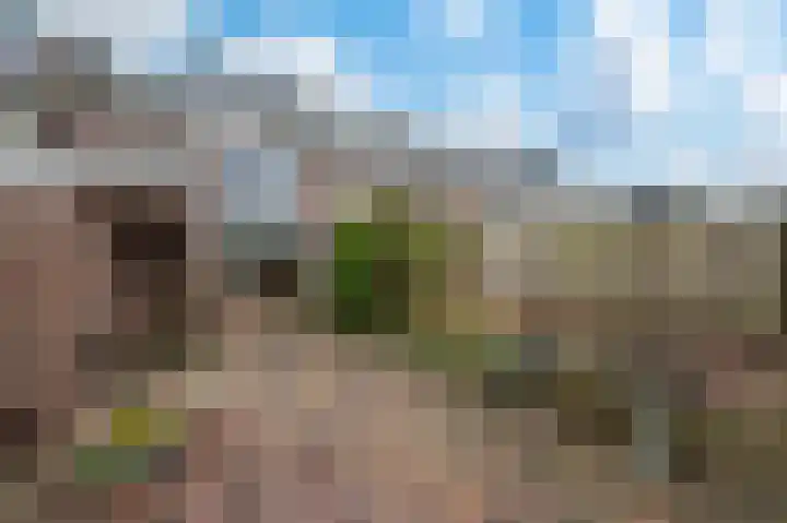 Van Goghstraat 10 Apeldoorn thumbnail 21