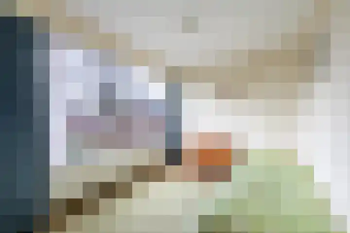 Van Goghstraat 10 Apeldoorn thumbnail 23
