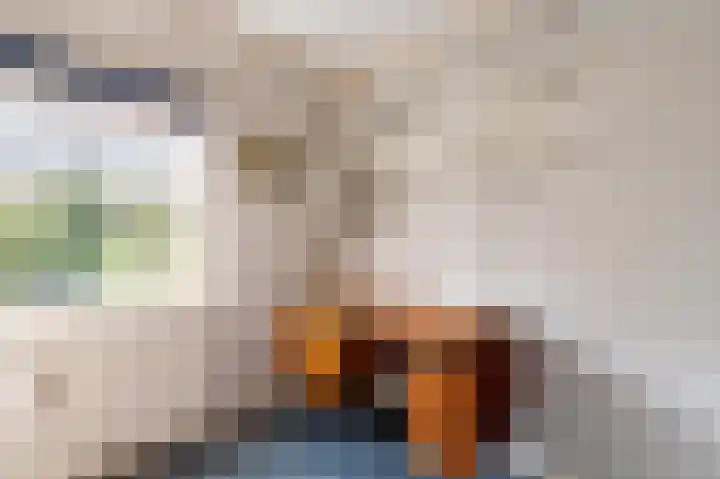 Van Goghstraat 10 Apeldoorn thumbnail 24
