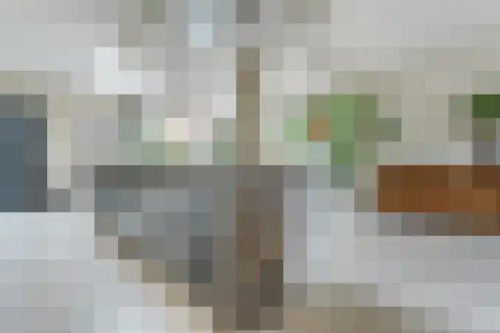 van Goghstraat 10 Assen thumbnail 11