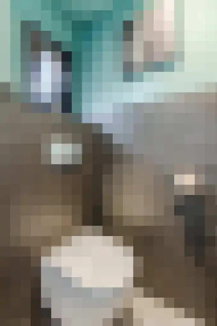 van Goghstraat 10 Assen thumbnail 17