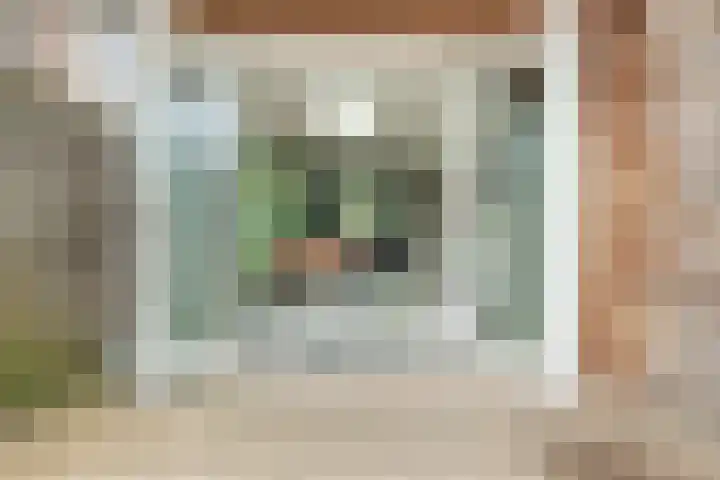 van Goghstraat 10 Assen thumbnail 32