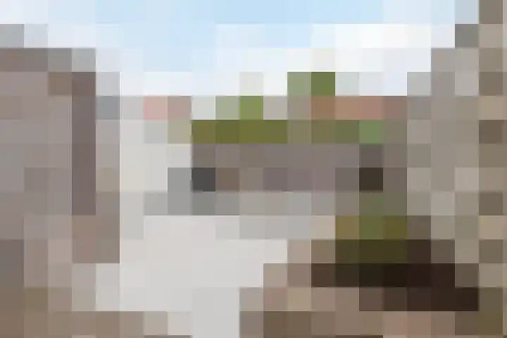 van Goghstraat 10 Assen thumbnail 34