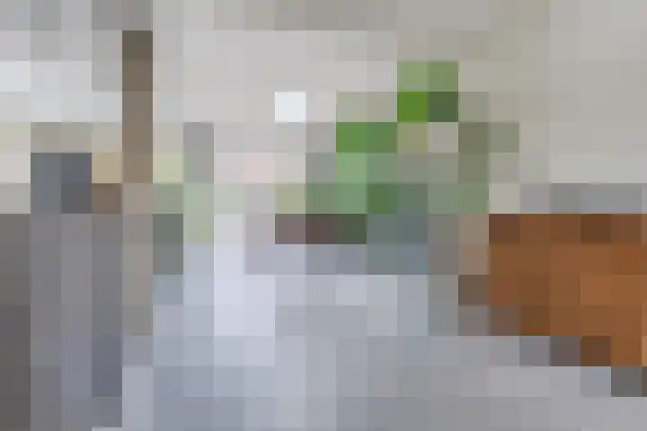van Goghstraat 10 Assen thumbnail 7