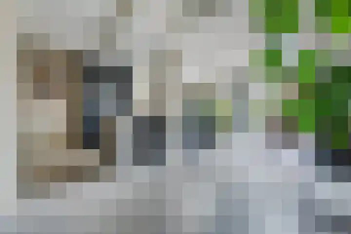 van Goghstraat 10 Assen thumbnail 8