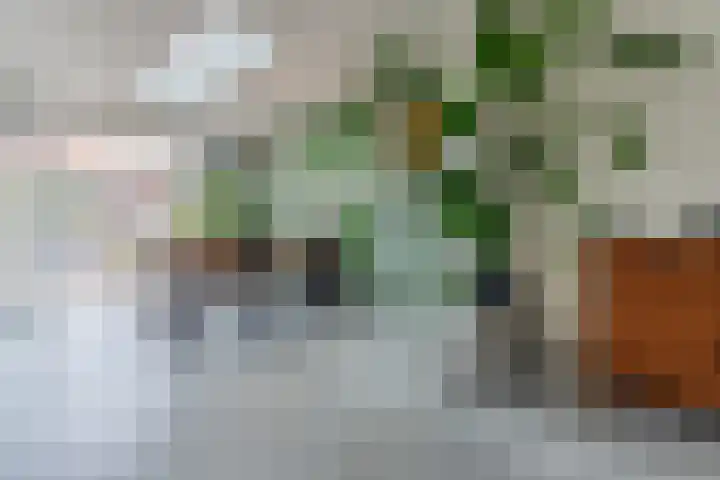 van Goghstraat 10 Assen thumbnail 9