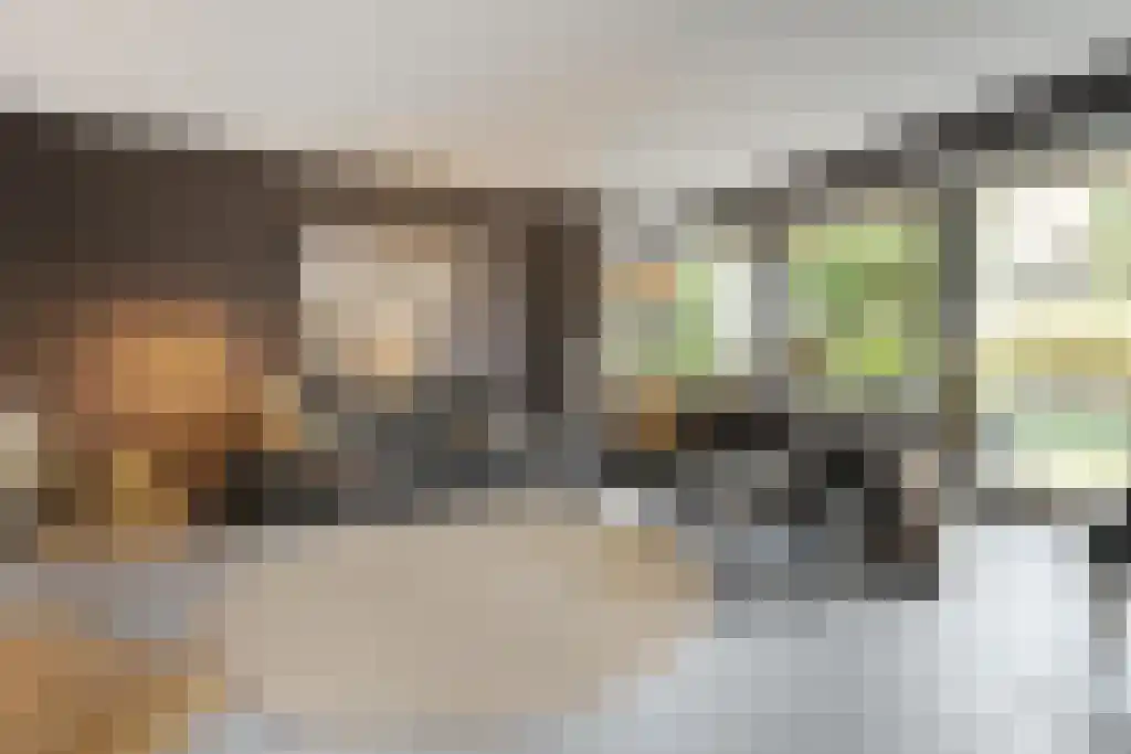 Van Goghstraat 10 Dedemsvaart thumbnail 16