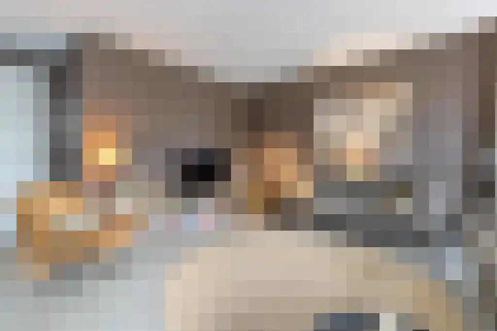 Van Goghstraat 10 Dedemsvaart thumbnail 17