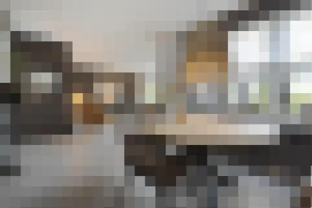 Van Goghstraat 10 Dedemsvaart thumbnail 20