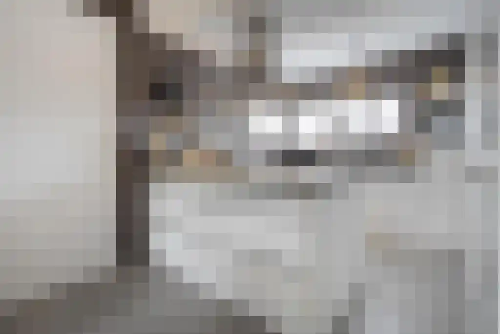 Van Goghstraat 10 Dedemsvaart thumbnail 21