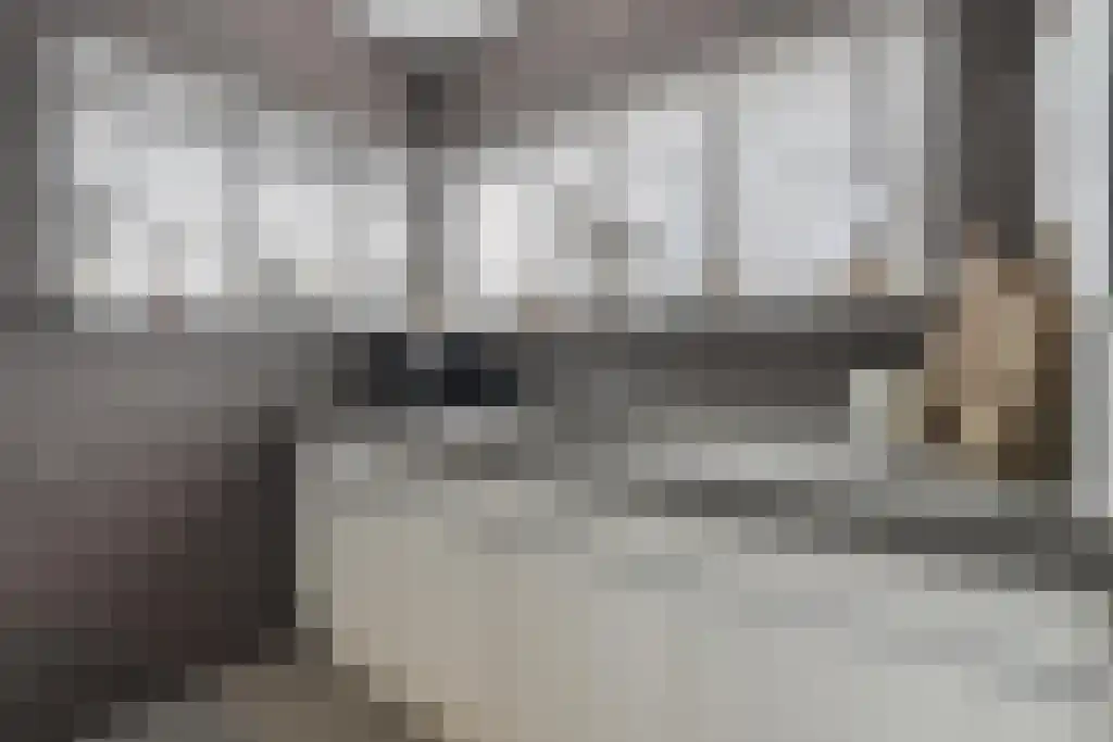 Van Goghstraat 10 Dedemsvaart thumbnail 22