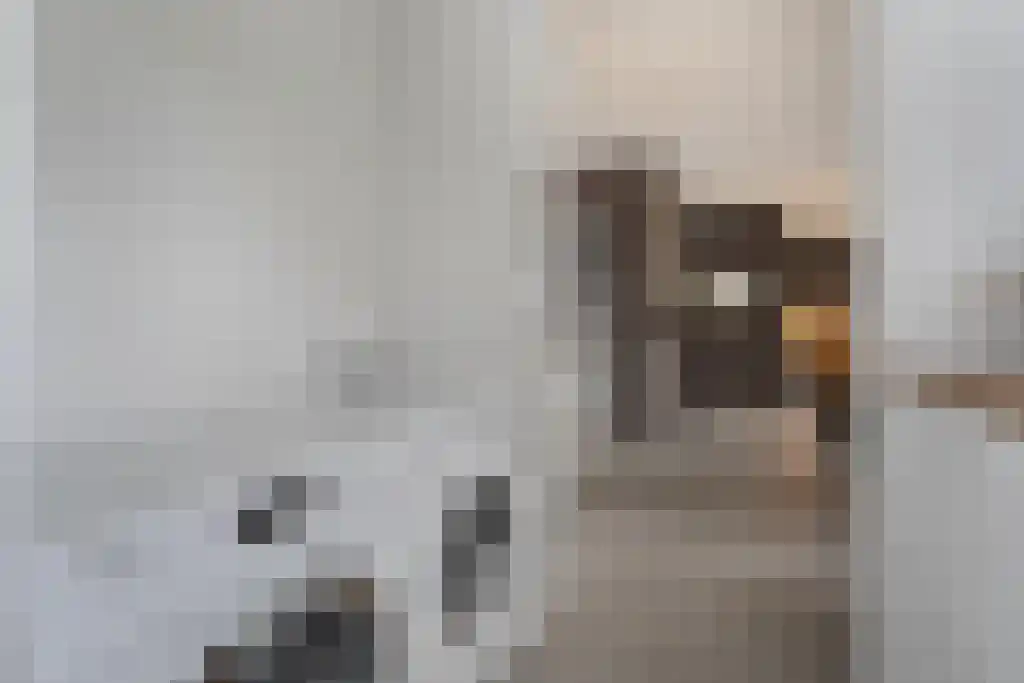 Van Goghstraat 10 Dedemsvaart thumbnail 24