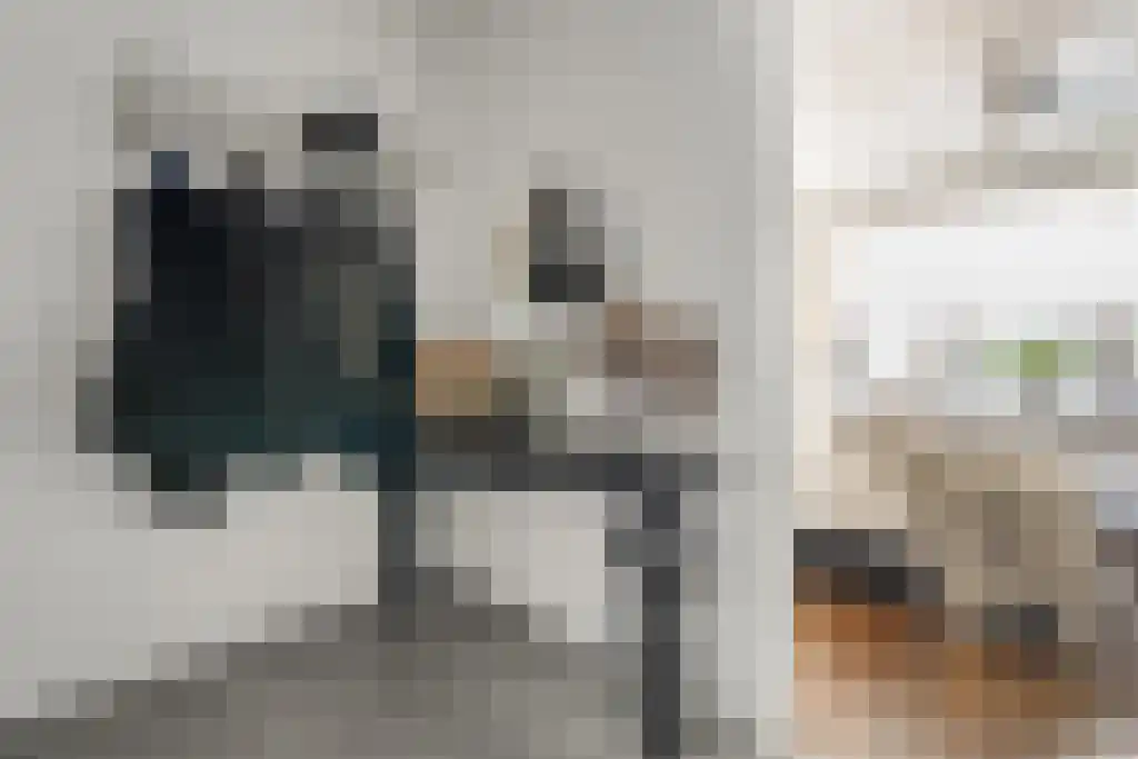 Van Goghstraat 10 Dedemsvaart thumbnail 27