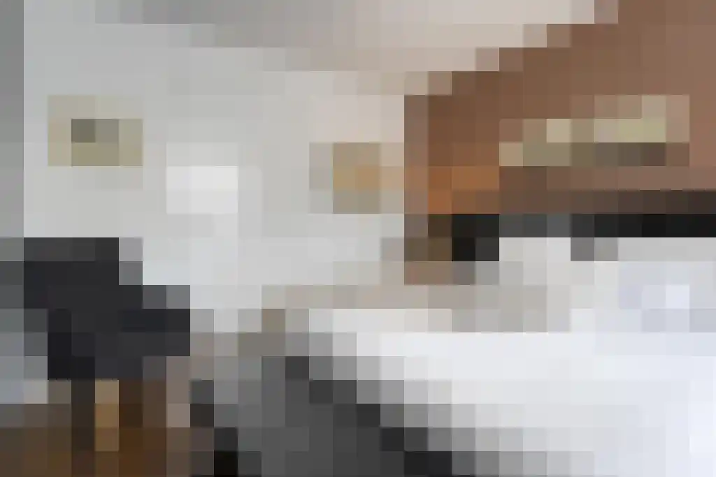 Van Goghstraat 10 Dedemsvaart thumbnail 29