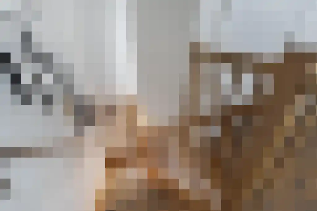 Van Goghstraat 10 Dedemsvaart thumbnail 30