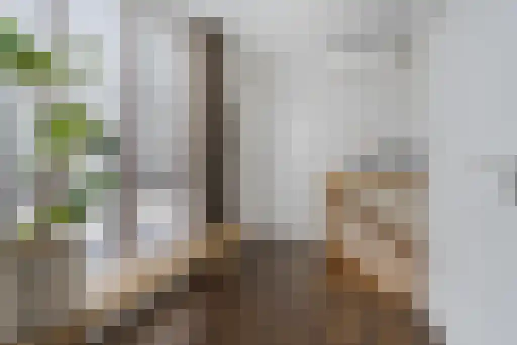 Van Goghstraat 10 Dedemsvaart thumbnail 32