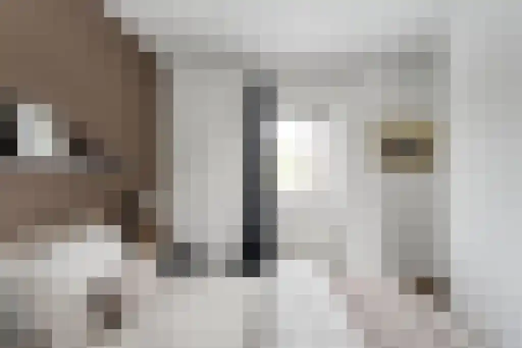 Van Goghstraat 10 Dedemsvaart thumbnail 34