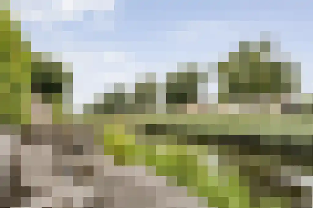 Van Goghstraat 10 Dedemsvaart thumbnail 4