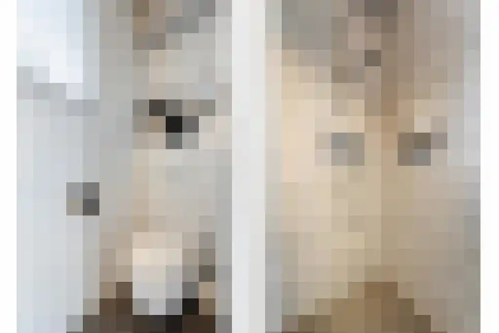 Van Goghstraat 10 Dedemsvaart thumbnail 43