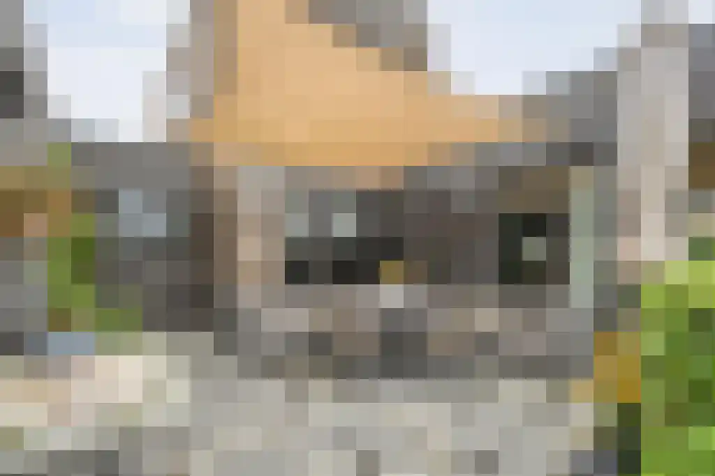 Van Goghstraat 10 Dedemsvaart thumbnail 49