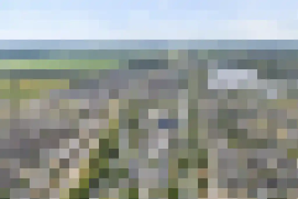 Van Goghstraat 10 Dedemsvaart thumbnail 5