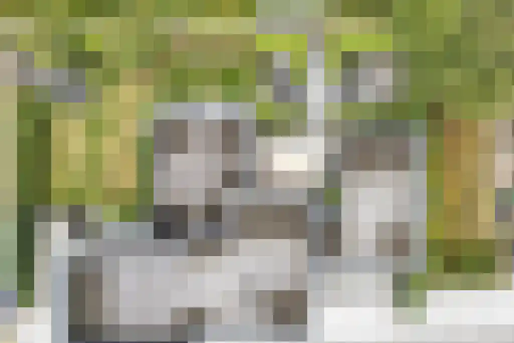 Van Goghstraat 10 Dedemsvaart thumbnail 51