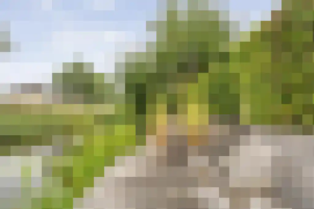 Van Goghstraat 10 Dedemsvaart thumbnail 54