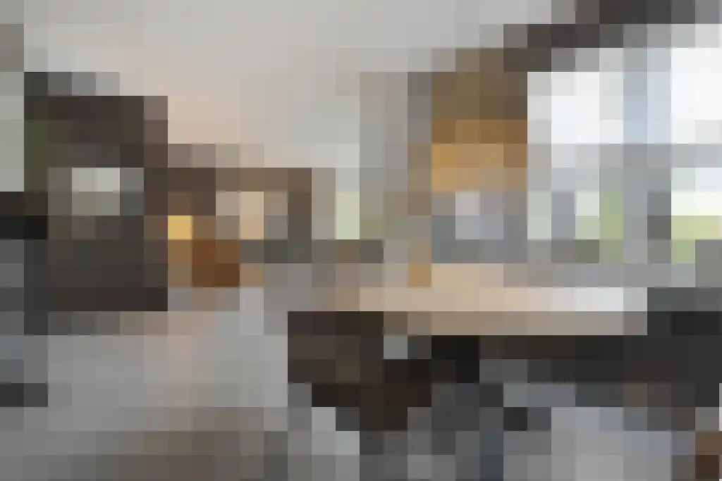 Van Goghstraat 10 Dedemsvaart thumbnail 6
